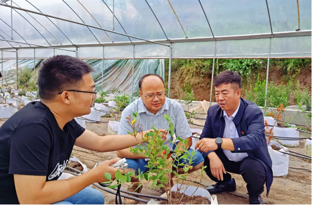 1724248016289618.png 微信圖片_20240821214638.png