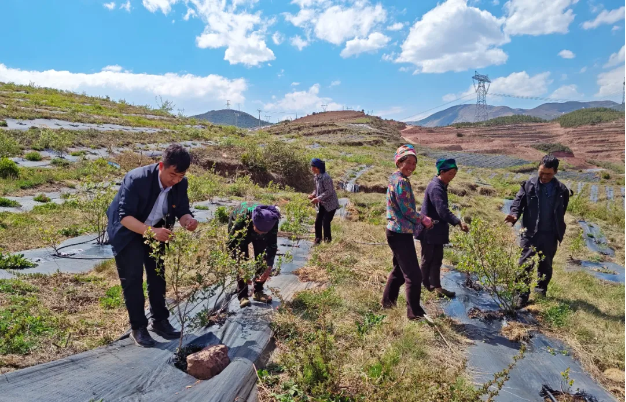 1724248624784693.png 9999999999999999.png